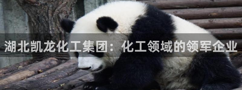 球盟会黑款吗还是白款