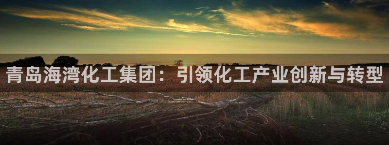 球盟会官方网站