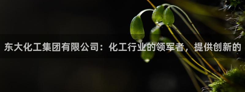 球盟会官网：东大化工集团有限公司：化工行业的领军者，提供创新