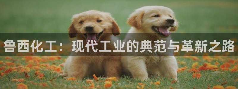 千亿球盟会乐玩：鲁西化工：现代工业的典范与革新之路
