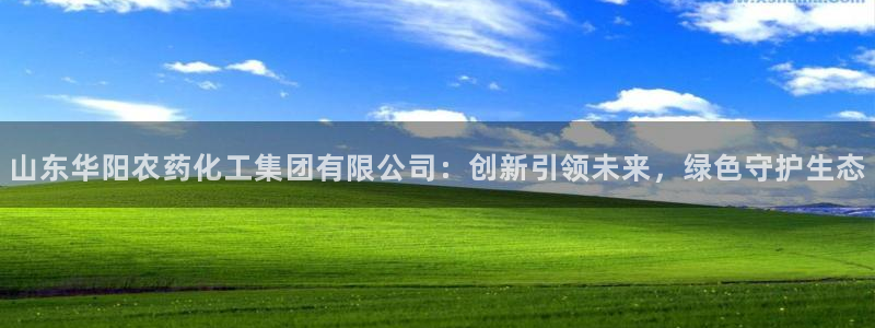 球盟会综合体育平台：山东华阳农药化工集团有限公司：创新引领未