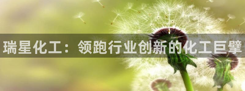 球盟会进不去吗：瑞星化工：领跑行业创新的化工巨擘