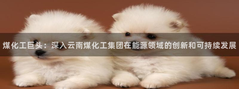 球盟会app入口：煤化工巨头：深入云南煤化工集团在能源领域的