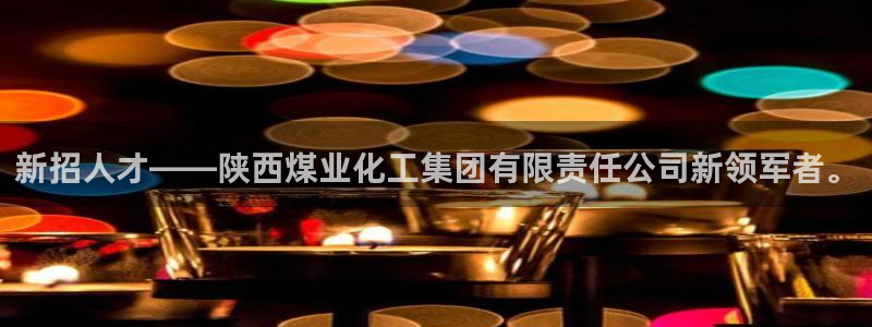 球盟会黑台：新招人才——陕西煤业化工集团有限责任公司新领军者