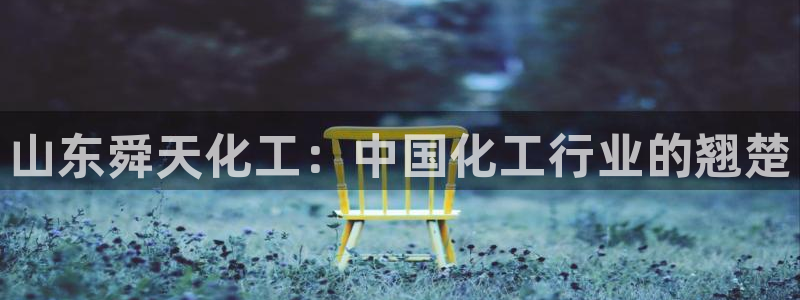 球盟会qmh官网