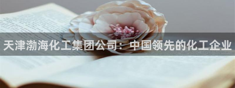 球盟会官方网站：天津渤海化工集团公司：中国领先的化工企业