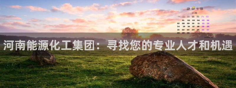 球盟会官方网站app：河南能源化工集团：寻找您的专业人才和机