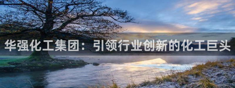 球盟会app网址多少号：华强化工集团：引领行业创新的化工巨头