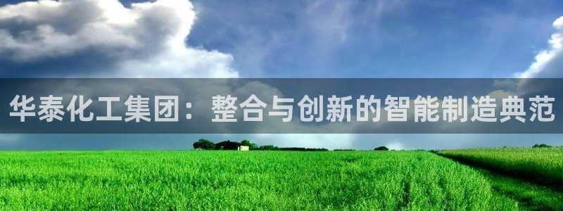 球盟会有限公司怎么样：华泰化工集团：整合与创新的智能制造典范
