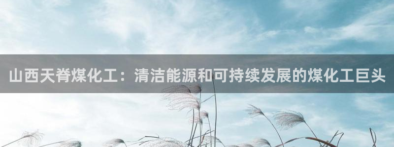 球盟会有没有黑单的人：山西天脊煤化工：清洁能源和可持续发展的