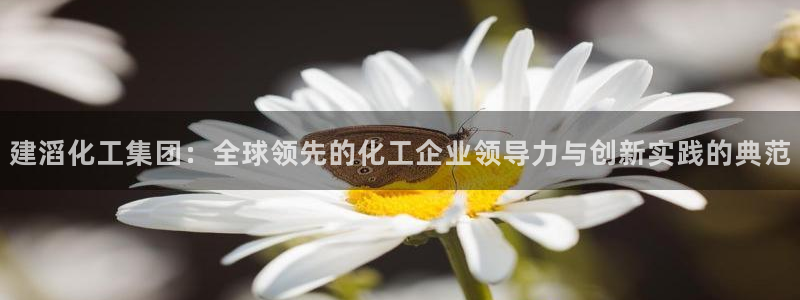 球盟会APP官网：建滔化工集团：全球领先的化工企业领导力与创