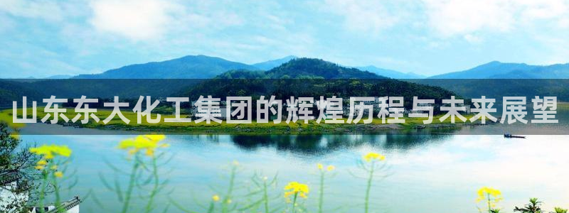 球盟会官方入口：山东东大化工集团的辉煌历程与未来展望