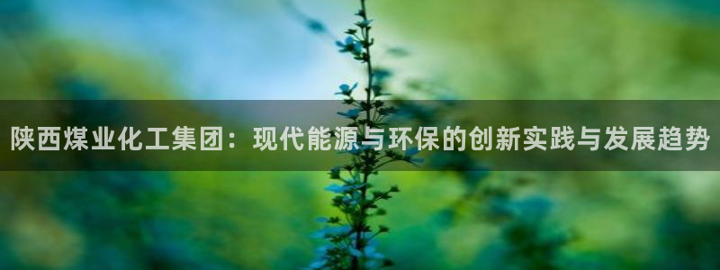 球盟会黑款吗是真的吗：陕西煤业化工集团：现代能源与环保的创新