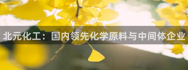 球盟会APP下载：北元化工：国内领先化学原料与中间体企业