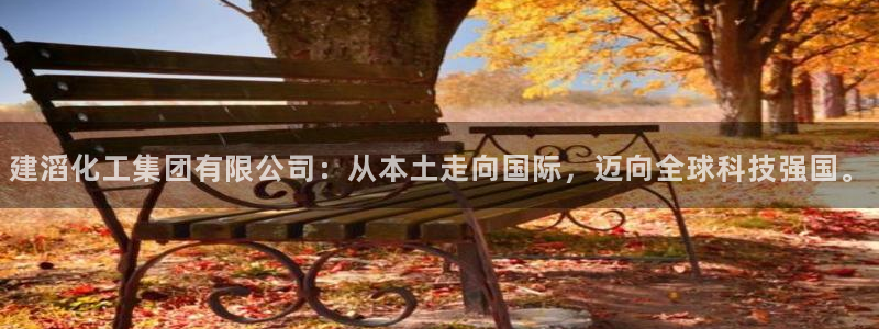 球盟会官方平台入口：建滔化工集团有限公司：从本土走向国际，迈