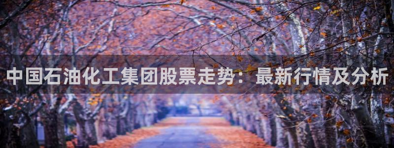 球盟会官方app首页入口