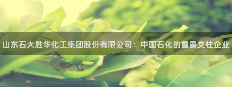 球盟会APP最新地址：山东石大胜华化工集团股份有限公司：中国