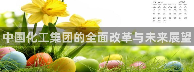 球盟会qm9：中国化工集团的全面改革与未来展望
