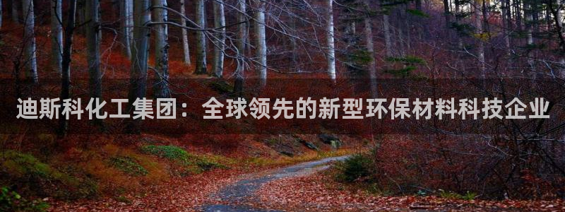 球盟会最新：迪斯科化工集团：全球领先的新型环保材料科技企业