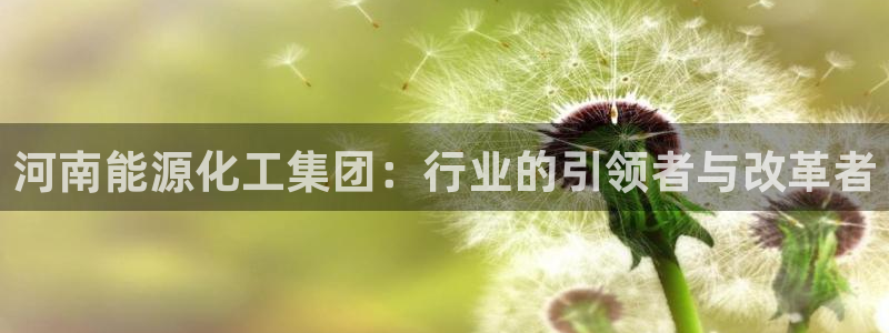 球盟会APP官网：河南能源化工集团：行业的引领者与改革者