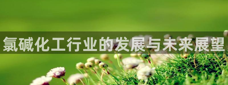 球盟会可靠不：氯碱化工行业的发展与未来展望
