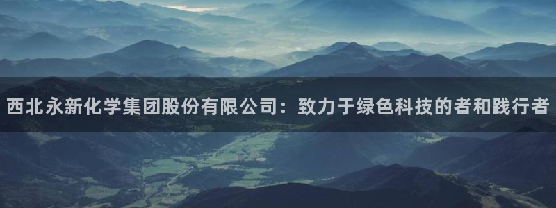 球盟会qm9：西北永新化学集团股份有限公司：致力于绿色科技的