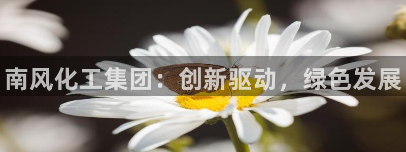 球盟会电子好下吗：南风化工集团：创新驱动，绿色发展