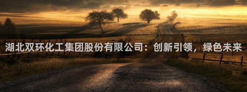 球盟会和中欧：湖北双环化工集团股份有限公司：创新引领，绿色未