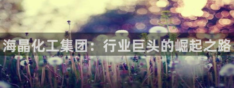 球盟会黑