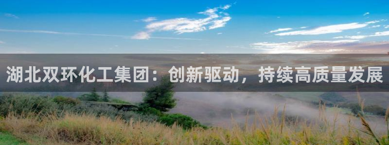 球盟会论坛：湖北双环化工集团：创新驱动，持续高质量发展