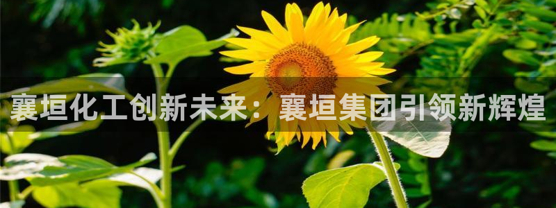 球盟会官方登录平台入口：襄垣化工创新未来：襄垣集团引领新辉煌