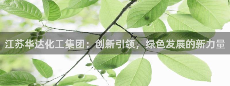 球盟会优惠领取网站是真的吗：江苏华达化工集团：创新引领，绿色