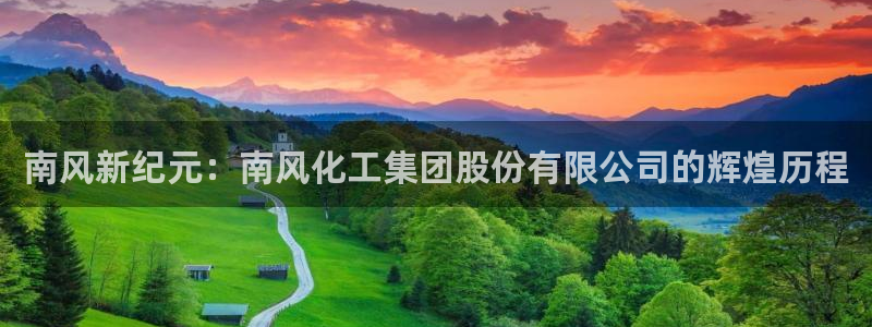 球盟会黑台：南风新纪元：南风化工集团股份有限公司的辉煌历程
