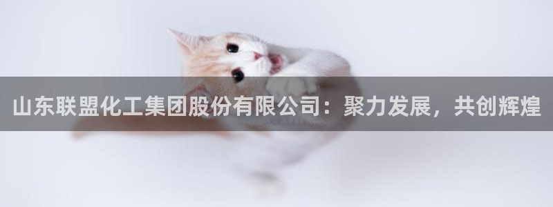 球盟会出款黑了：山东联盟化工集团股份有限公司：聚力发展，共创