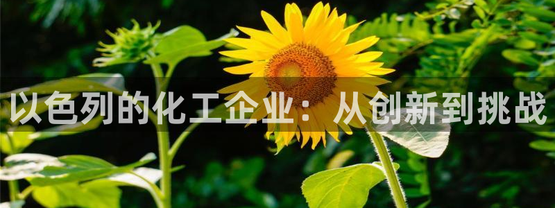球盟会官方网入口：以色列的化工企业：从创新到挑战