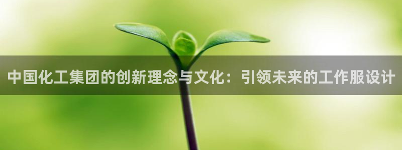 球盟会官方网入口：中国化工集团的创新理念与文化：引领未来的工