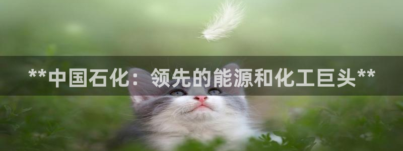 球盟会综合体育平台怎么样：**中国石化：领先的能源和化工巨头