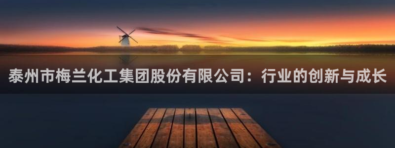 球盟会登陆中心：泰州市梅兰化工集团股份有限公司：行业的创新与