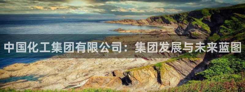 球盟会黑嘛：中国化工集团有限公司：集团发展与未来蓝图