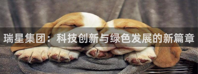 千亿球盟会乐玩：瑞星集团：科技创新与绿色发展的新篇章