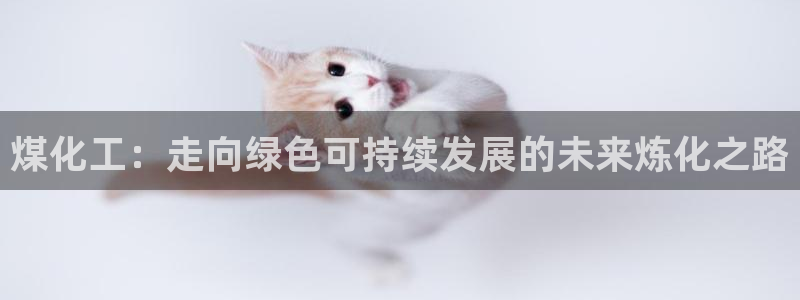 球盟会贴吧：煤化工：走向绿色可持续发展的未来炼化之路