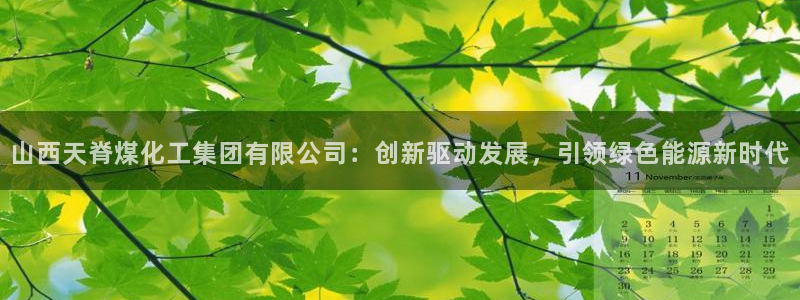球盟会在线登录官网：山西天脊煤化工集团有限公司：创新驱动发展