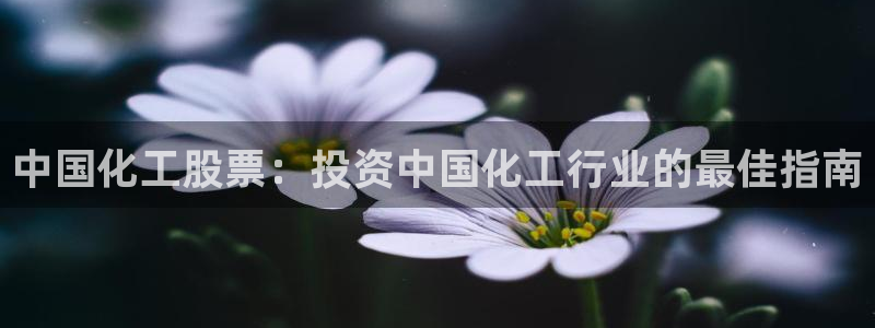 球盟会最新地址备用