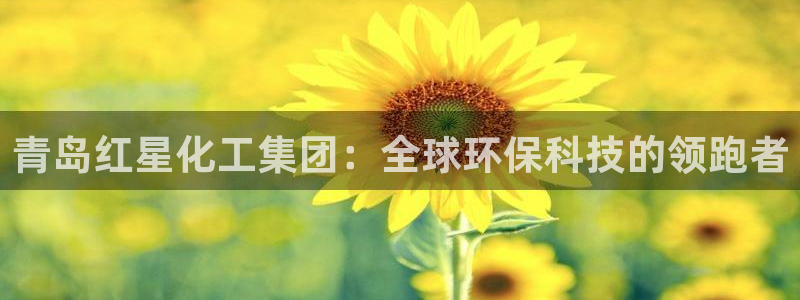 球盟会qm8597：青岛红星化工集团：全球环保科技的领跑者