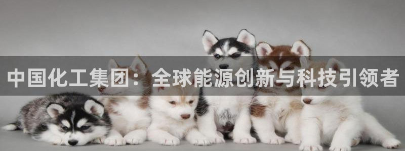 球盟会类似的网站：中国化工集团：全球能源创新与科技引领者