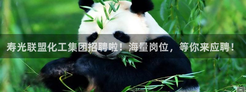 球盟会App