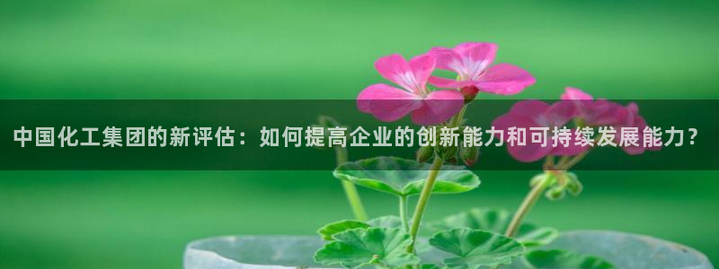 球盟会App：中国化工集团的新评估：如何