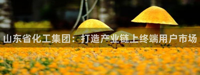 球盟会能提现吗：山东省化工集团：打造产业