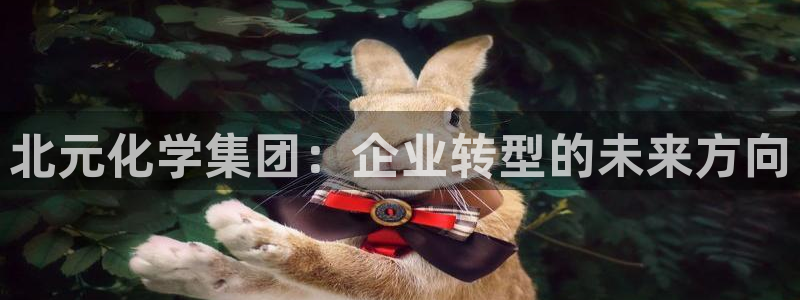 球盟会下款快吗：北元化学集团：企业转型的