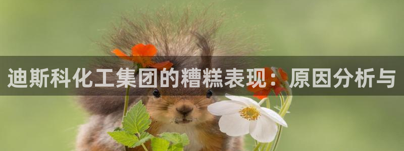 球盟会最新地址备用：迪斯科化工集团的糟糕